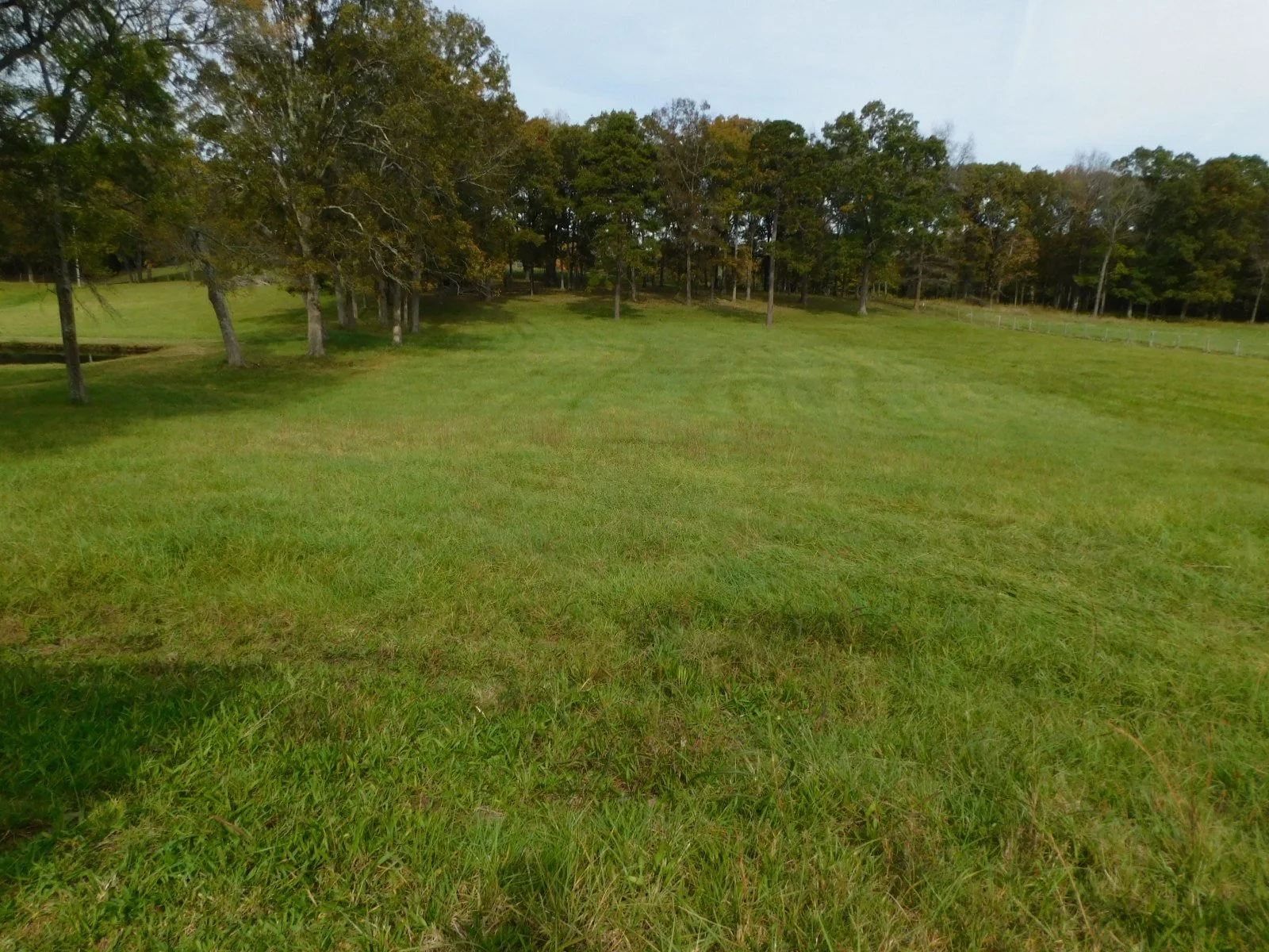 DSCN4843.JPG