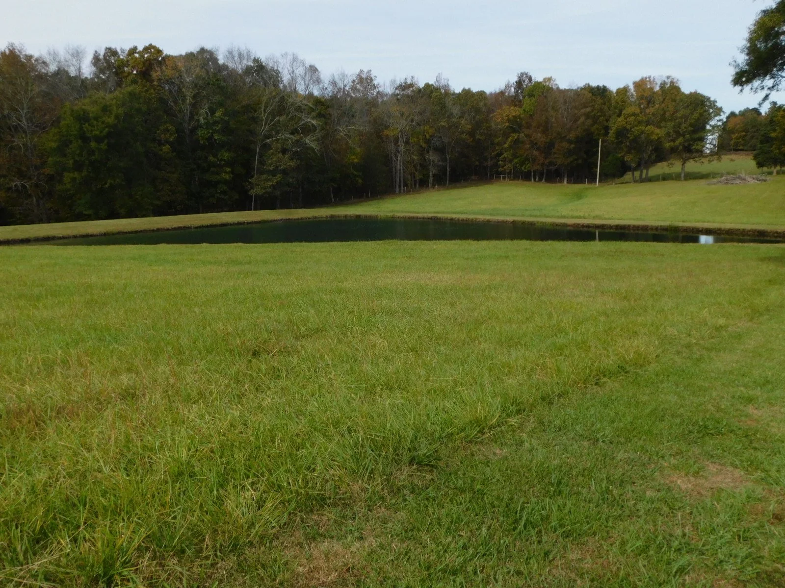 DSCN4846.JPG