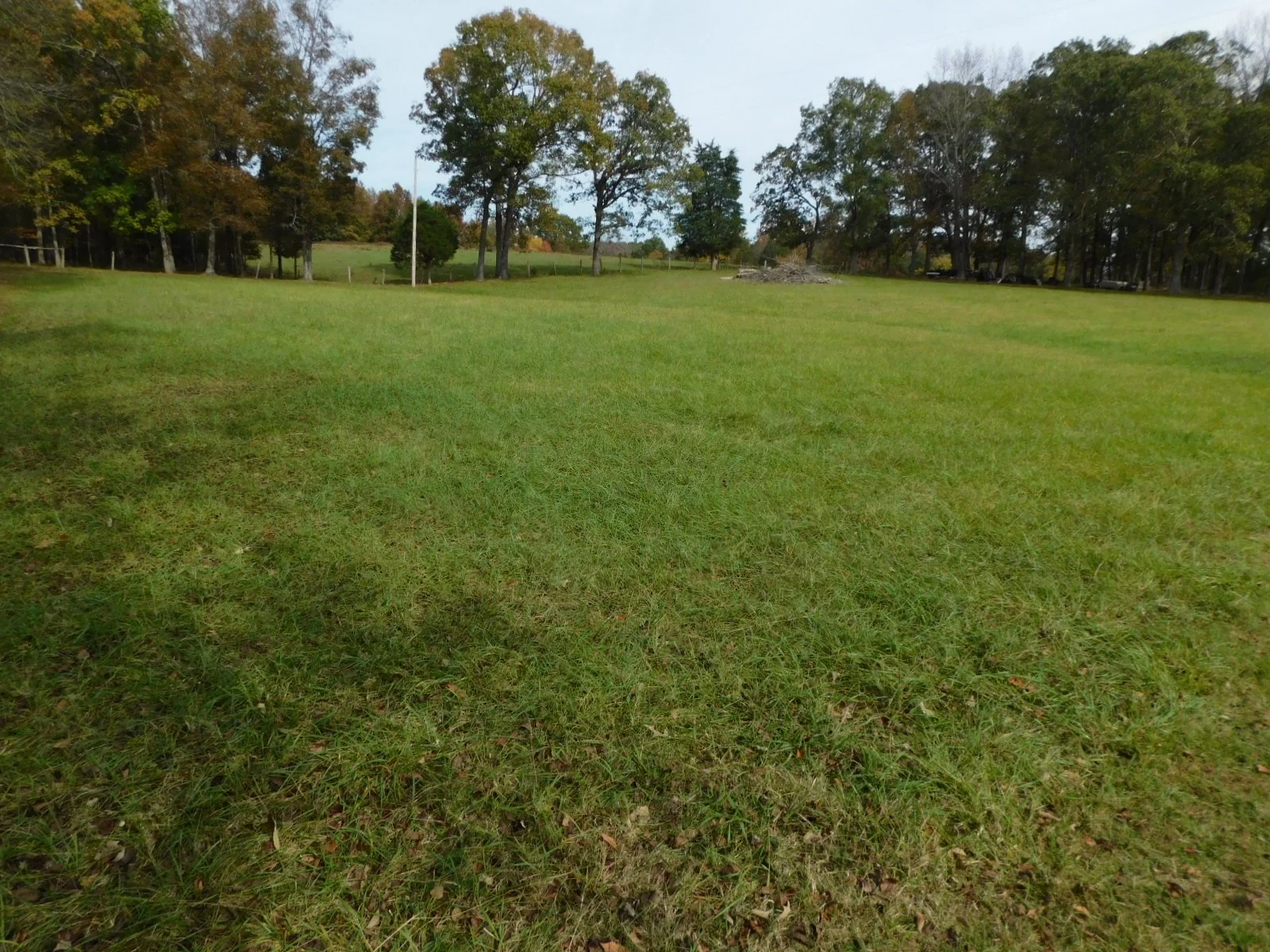 DSCN4851.JPG