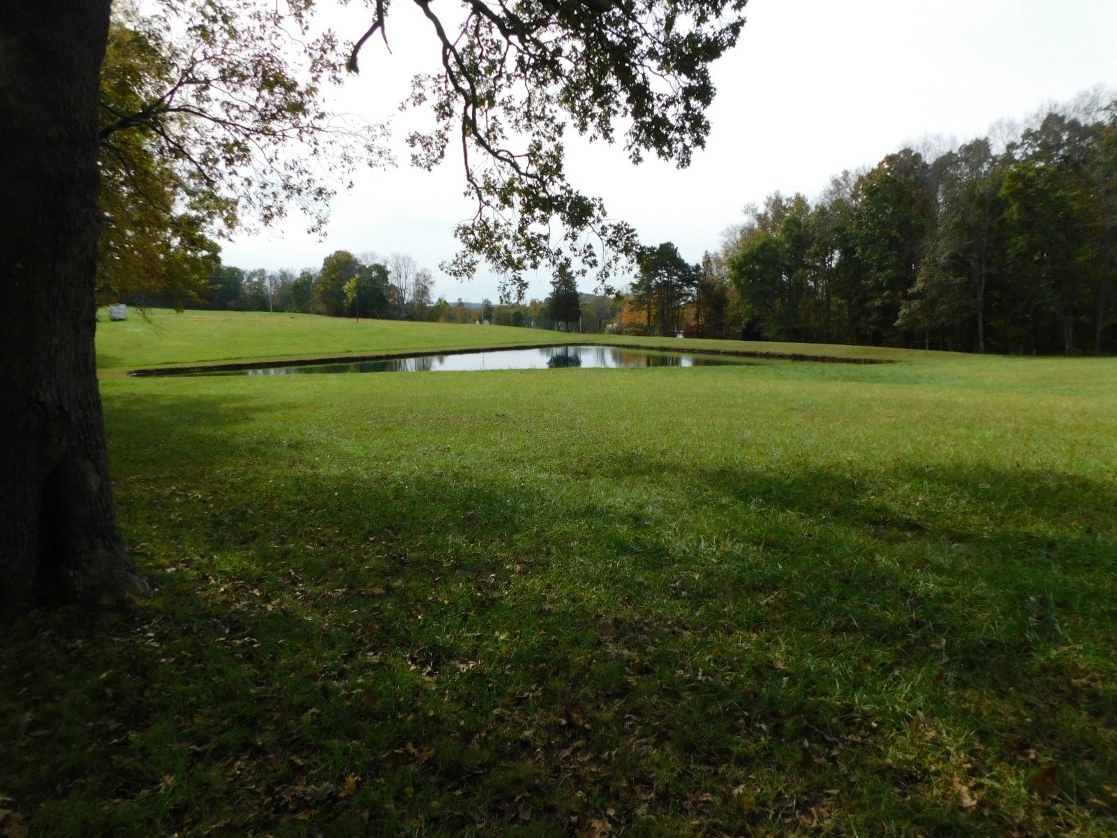 DSCN4867.JPG
