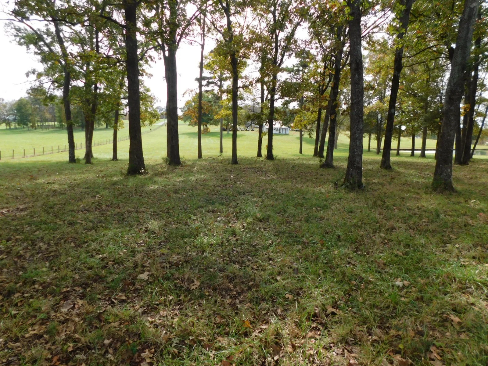 DSCN4868.JPG