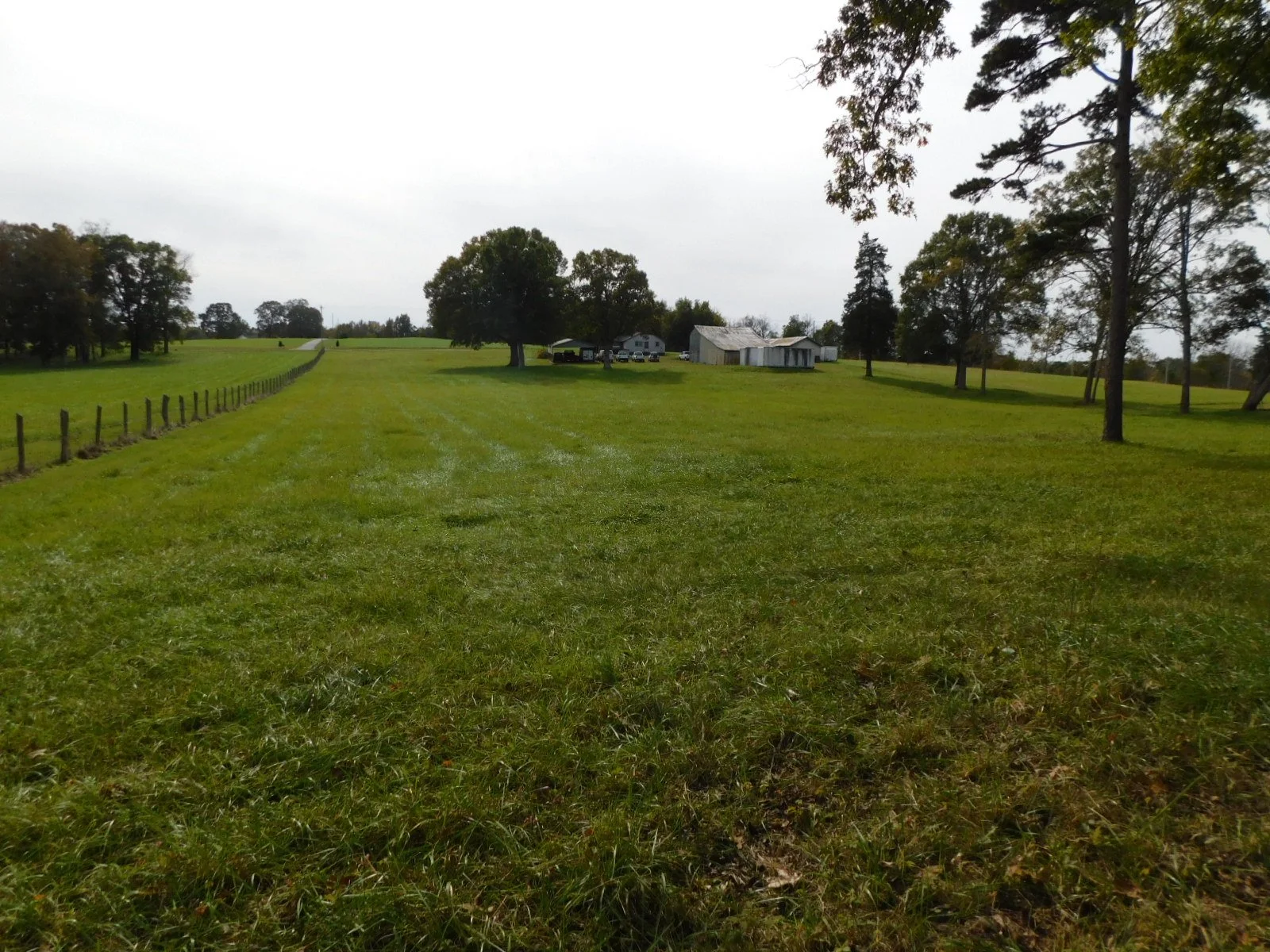 DSCN4869.JPG