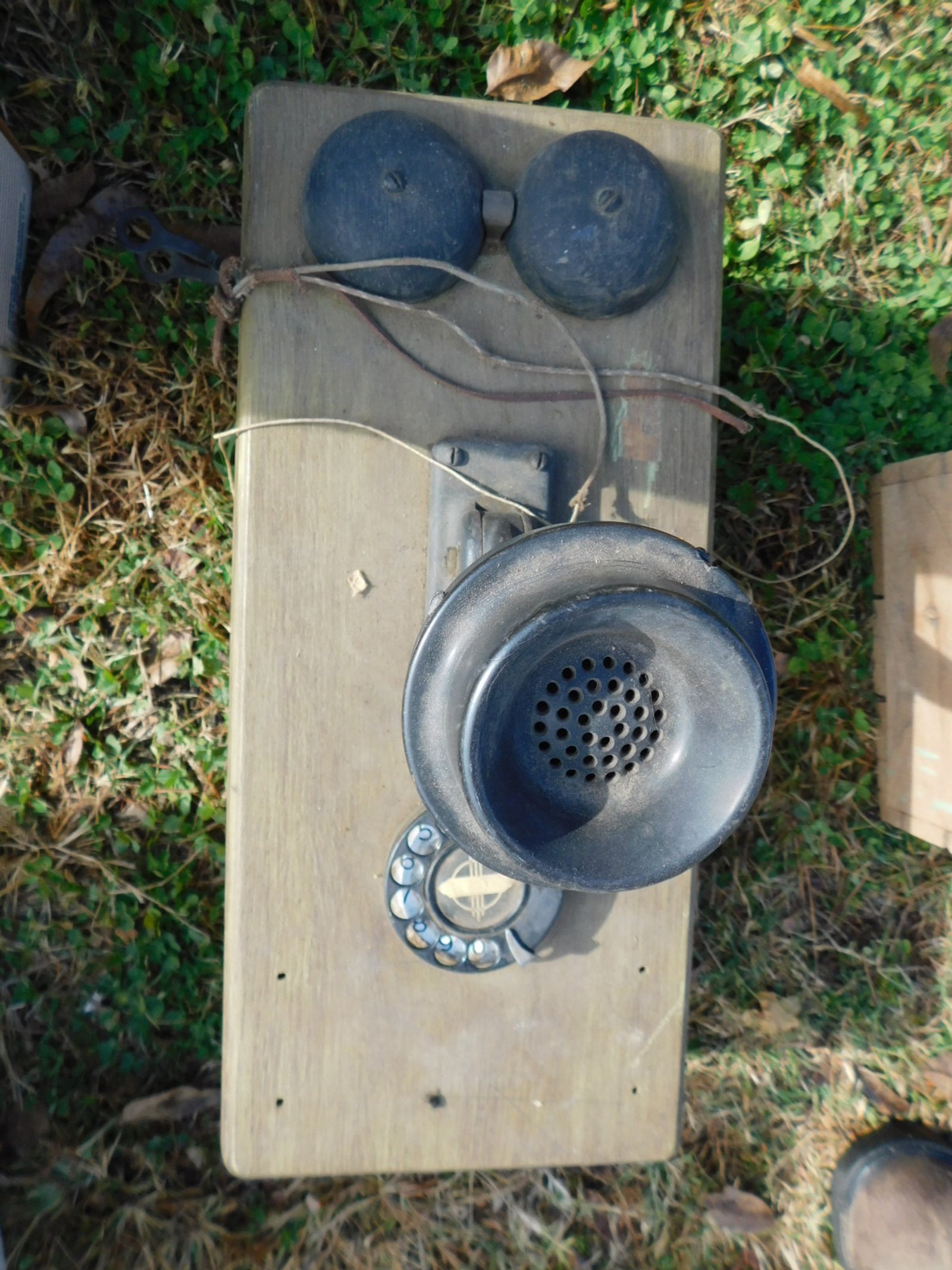 DSCN5485.JPG