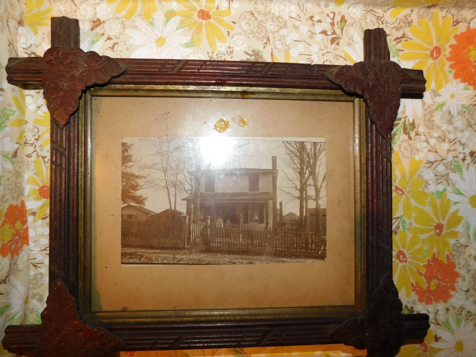 DSCN5626.JPG
