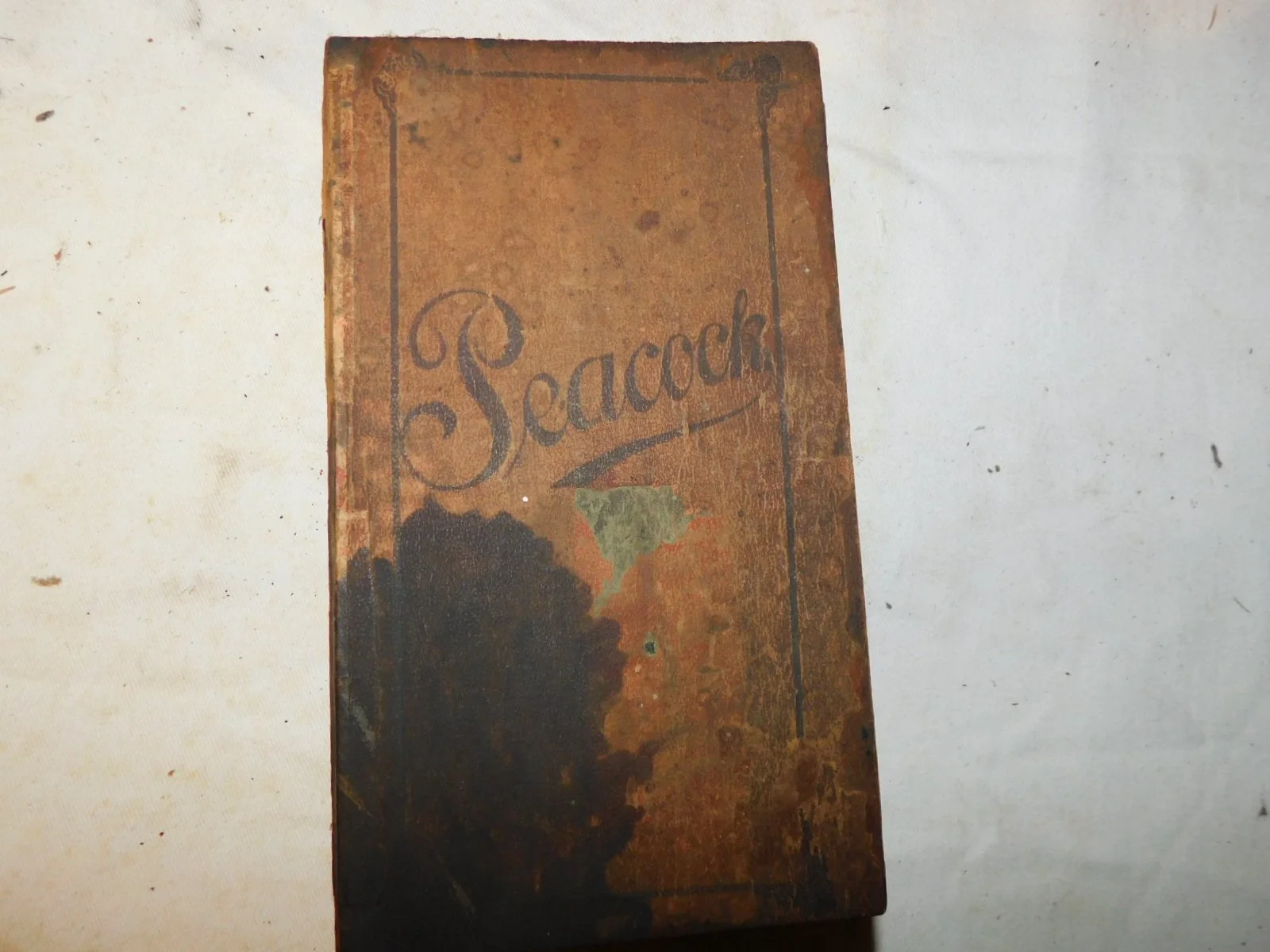 DSCN5635.JPG
