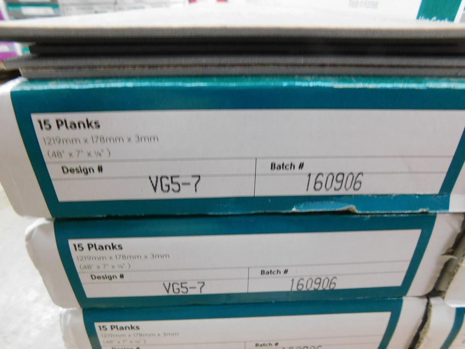 DSCN6073.JPG