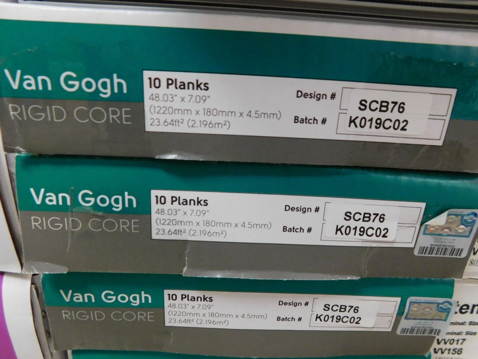 DSCN6076.JPG