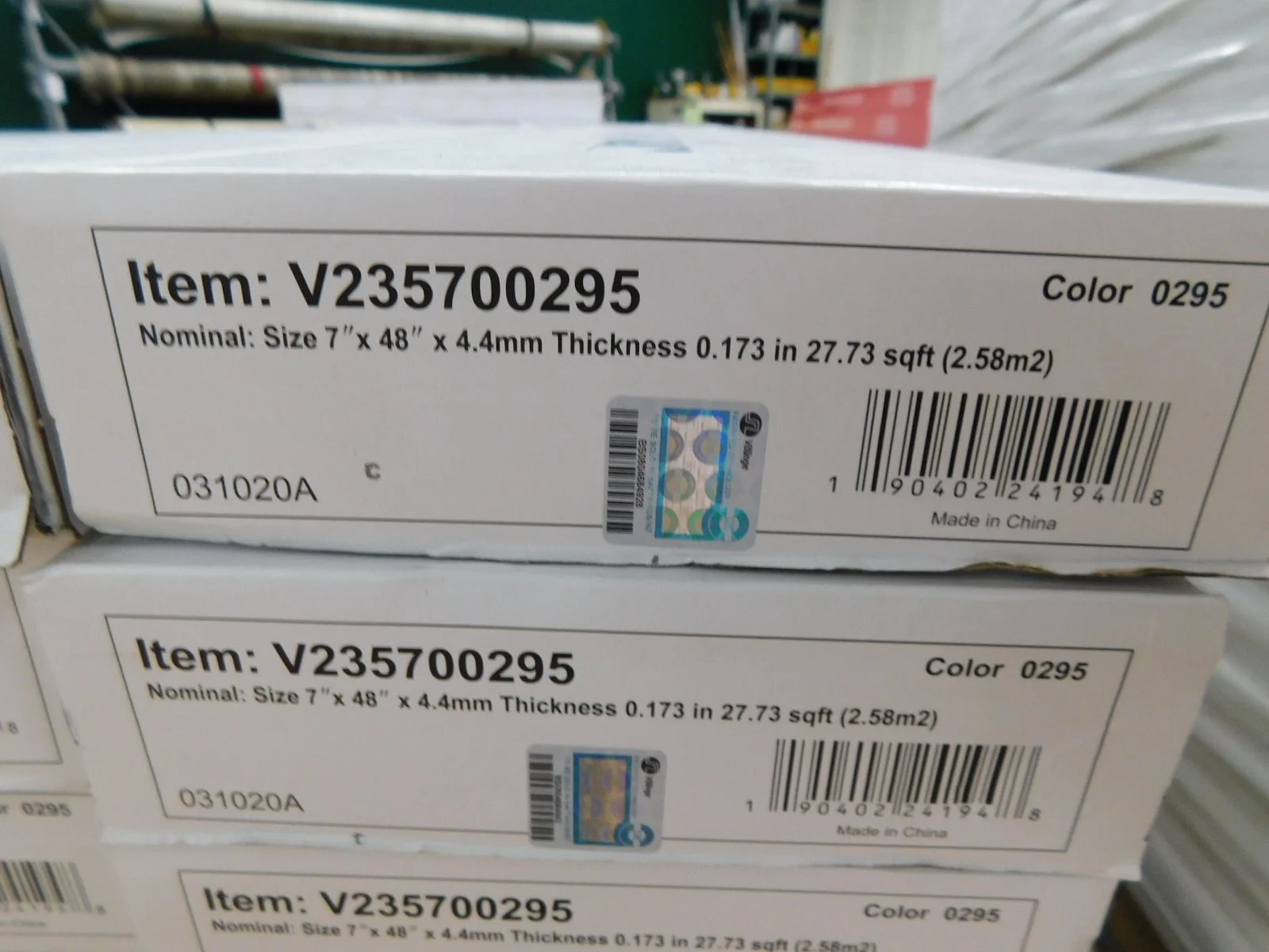DSCN6101.JPG