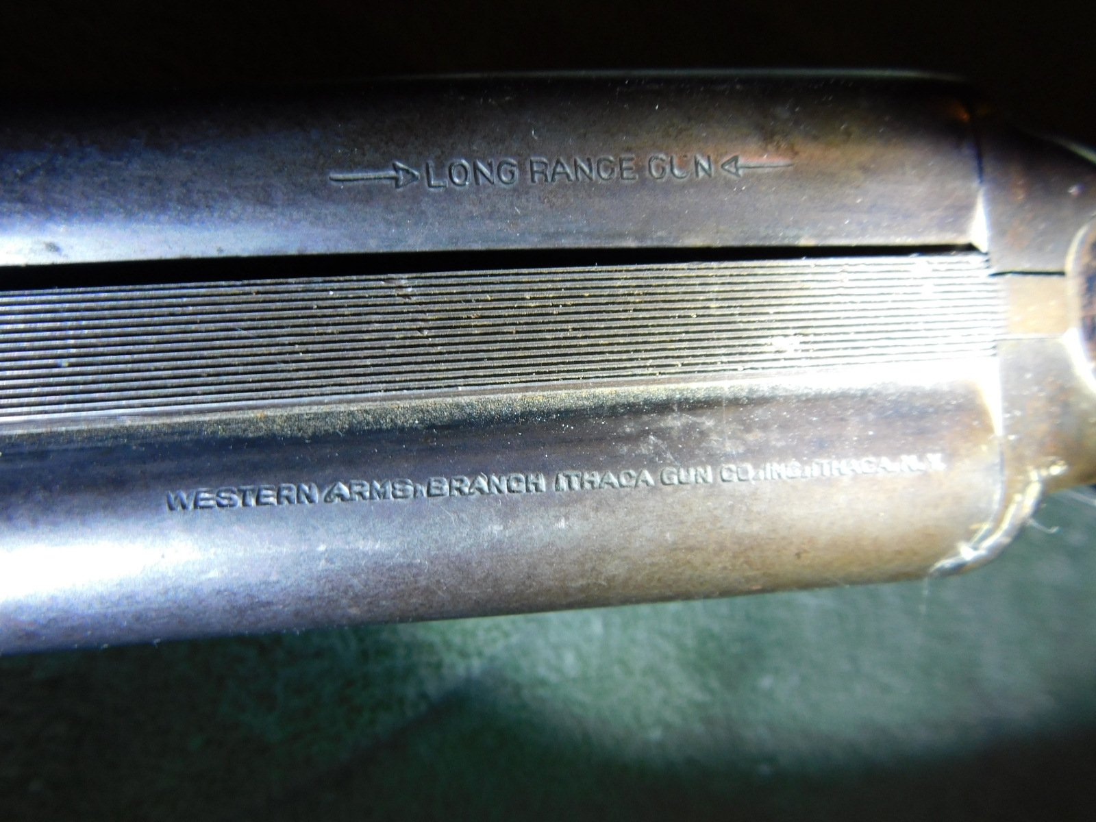 DSCN6382.JPG