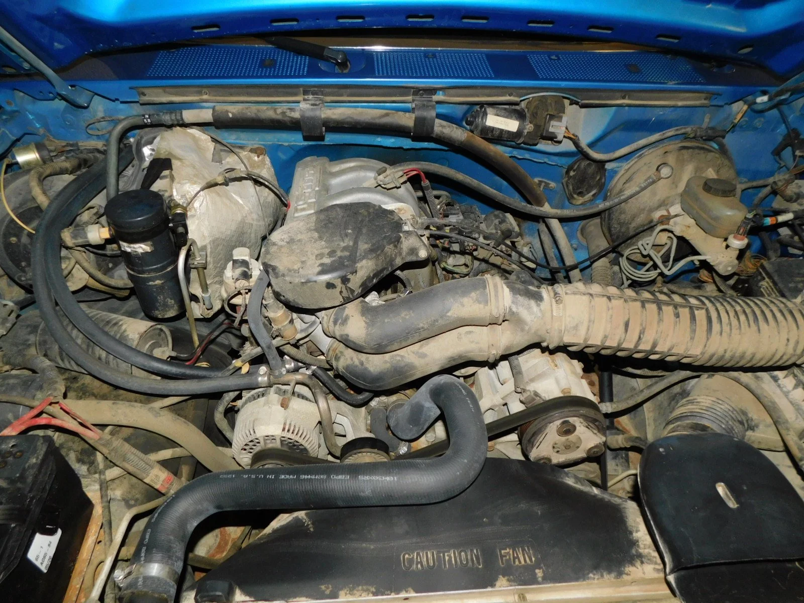 DSCN6454.JPG
