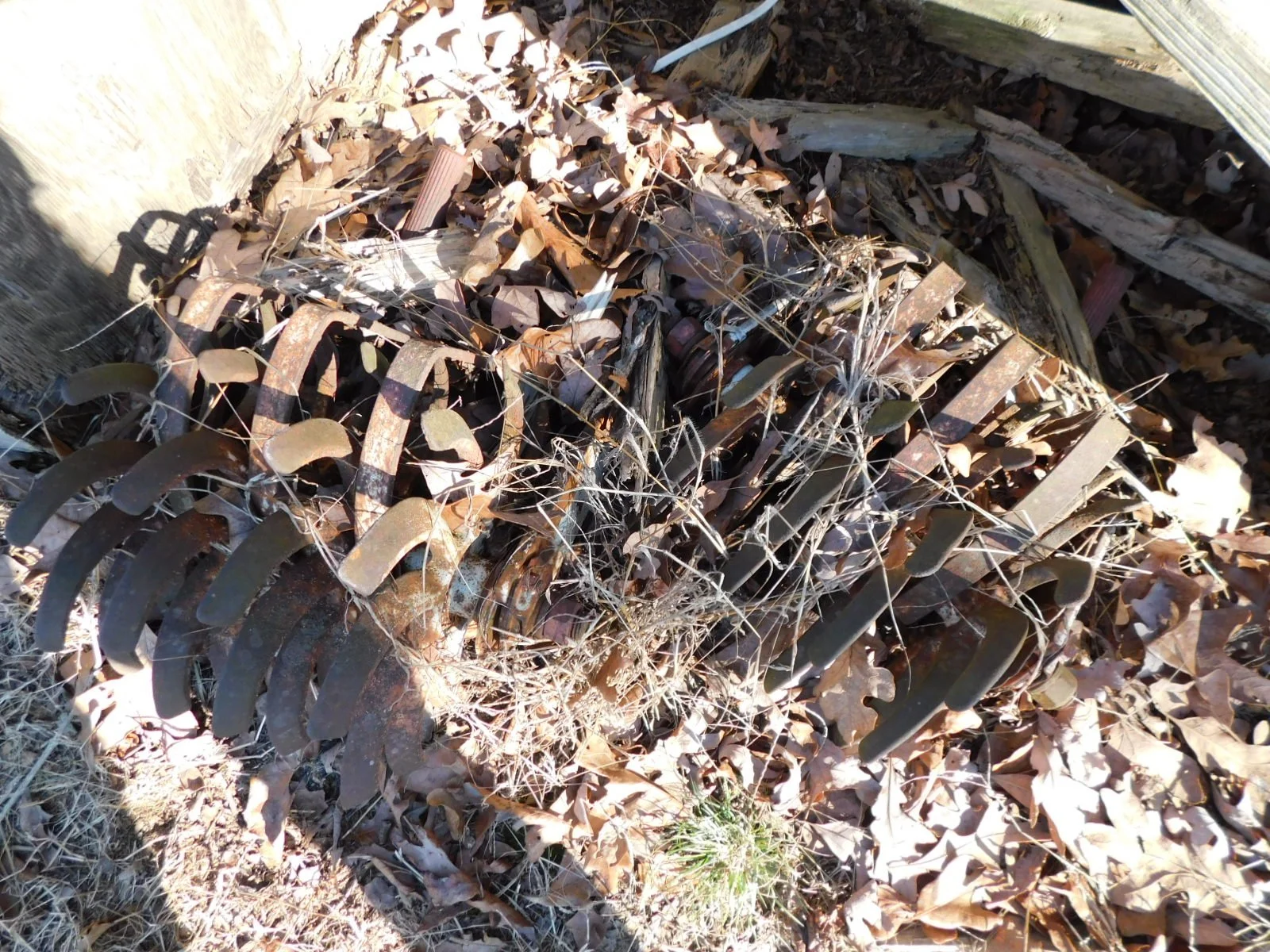 DSCN6517.JPG