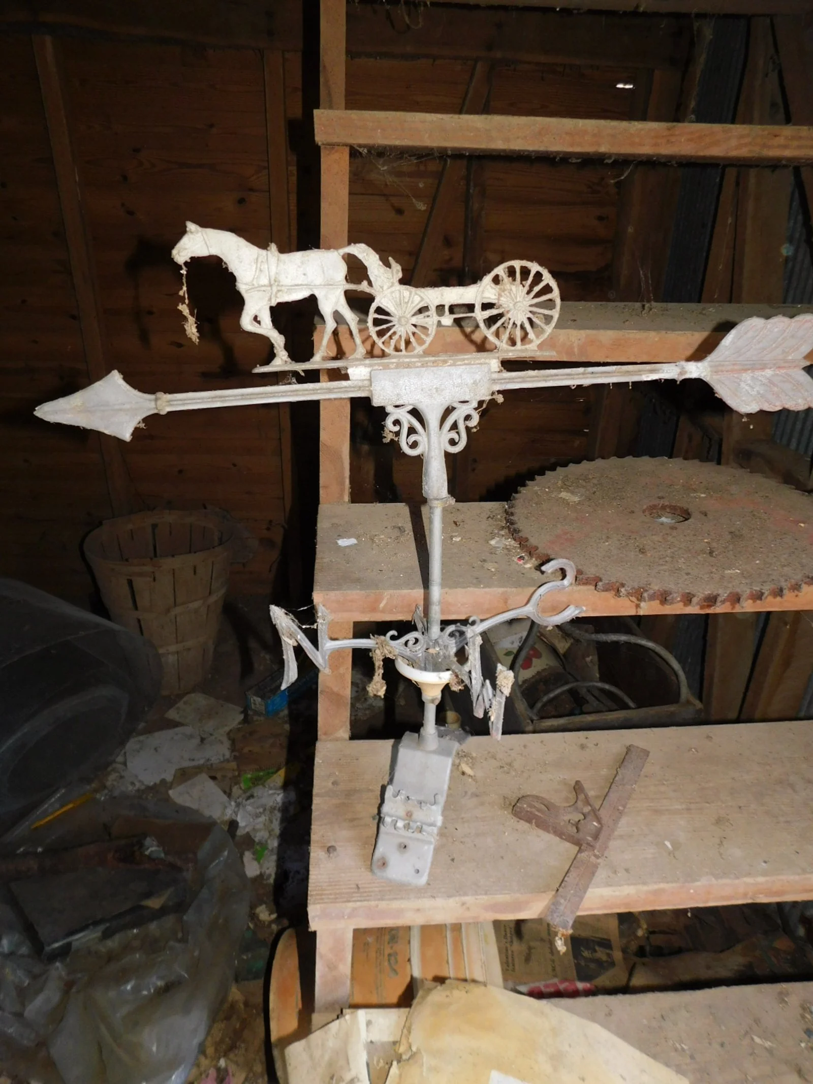 DSCN6536.JPG