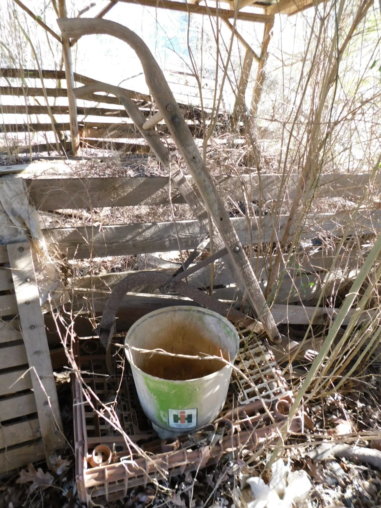 DSCN6545.JPG
