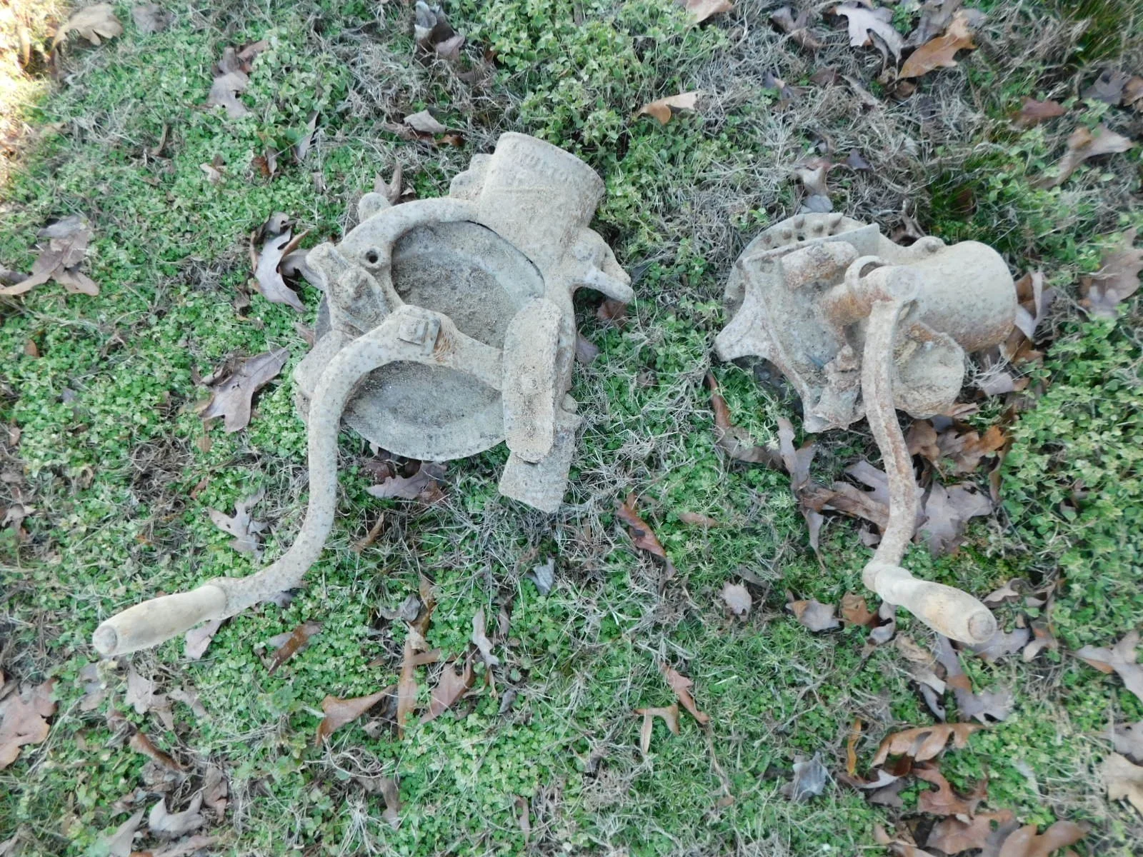 DSCN6597.JPG