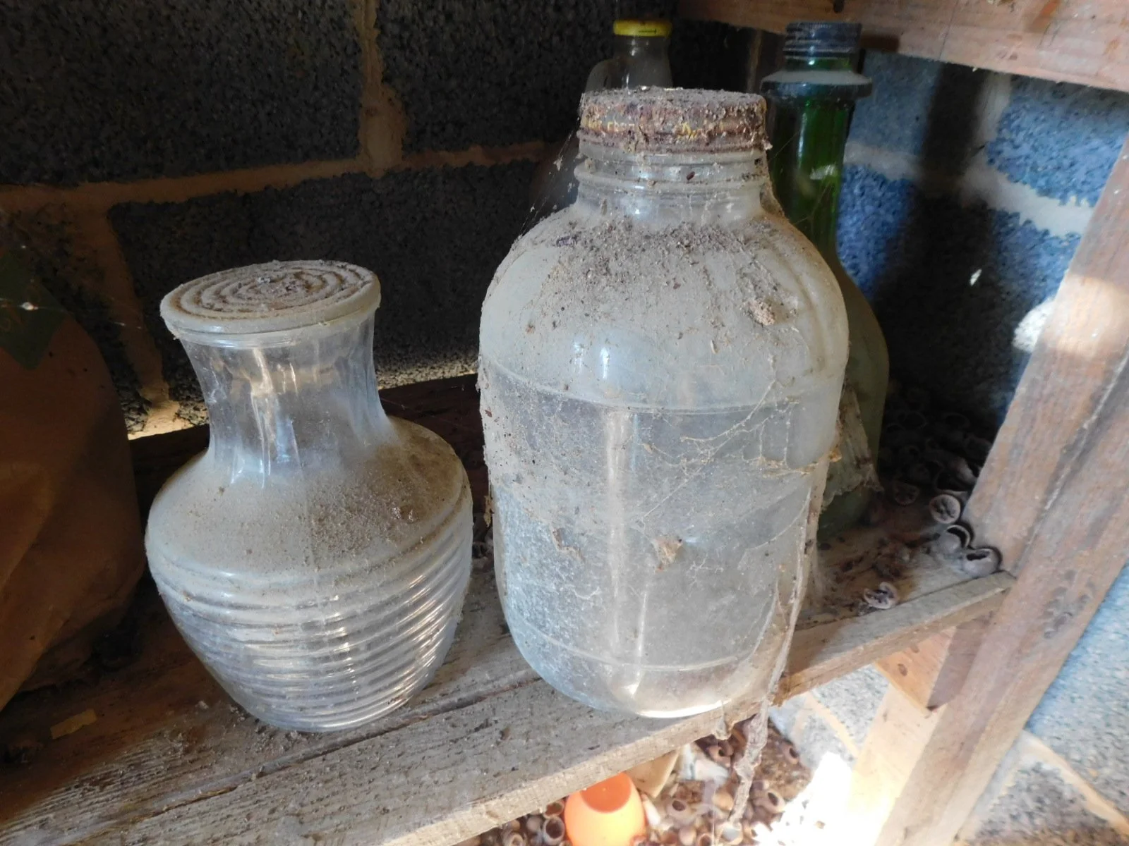 DSCN6606.JPG