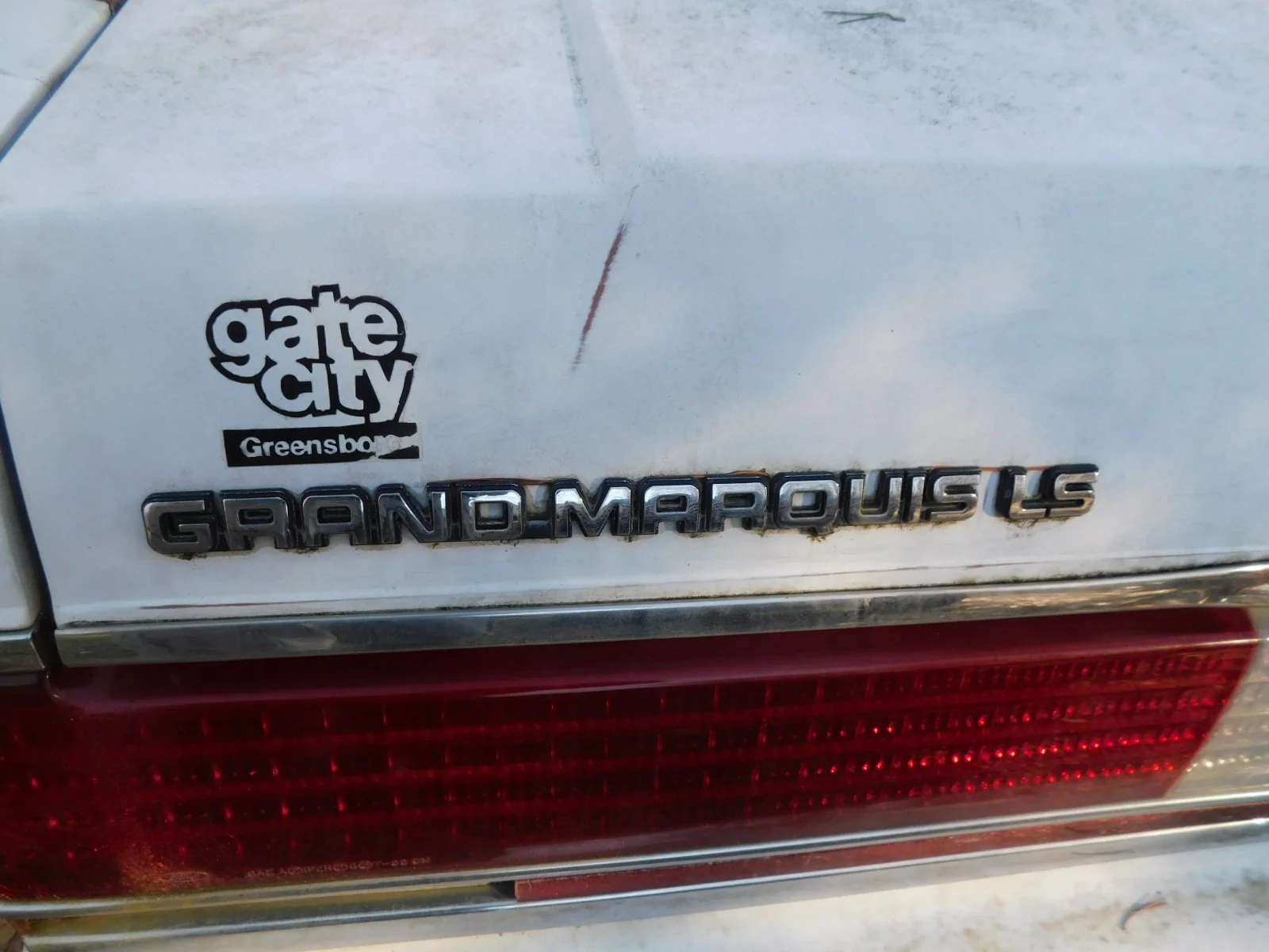 DSCN6705.JPG