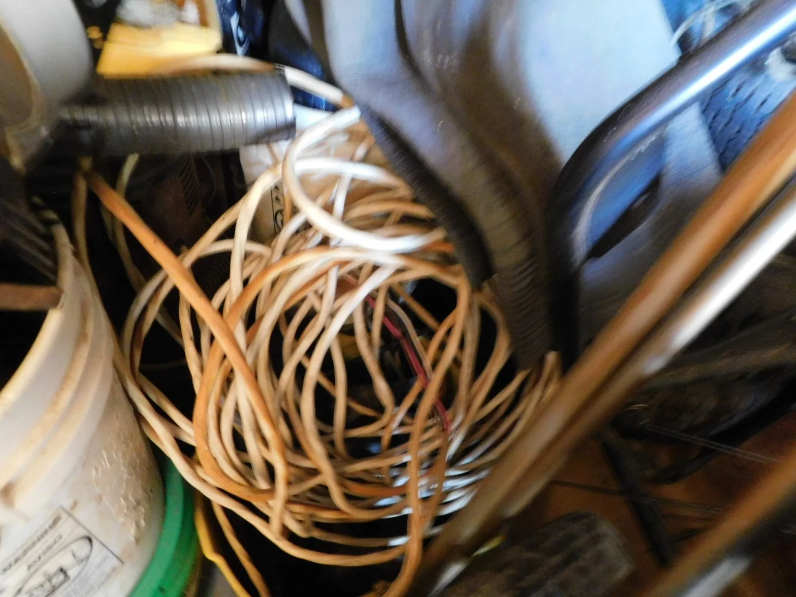 DSCN6766.JPG