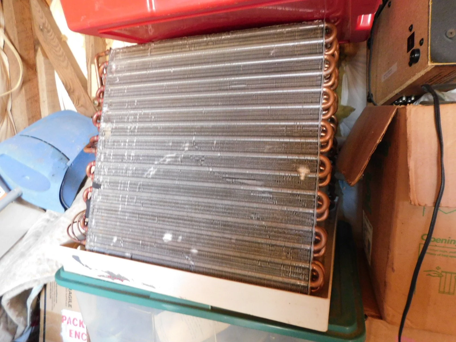 DSCN6788.JPG