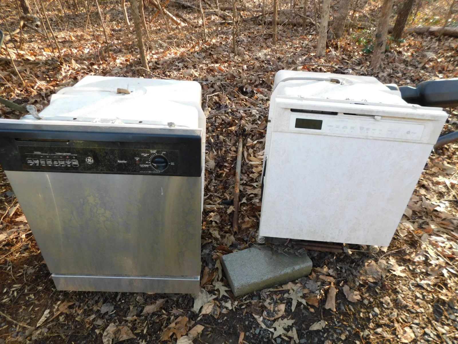 DSCN6856.JPG