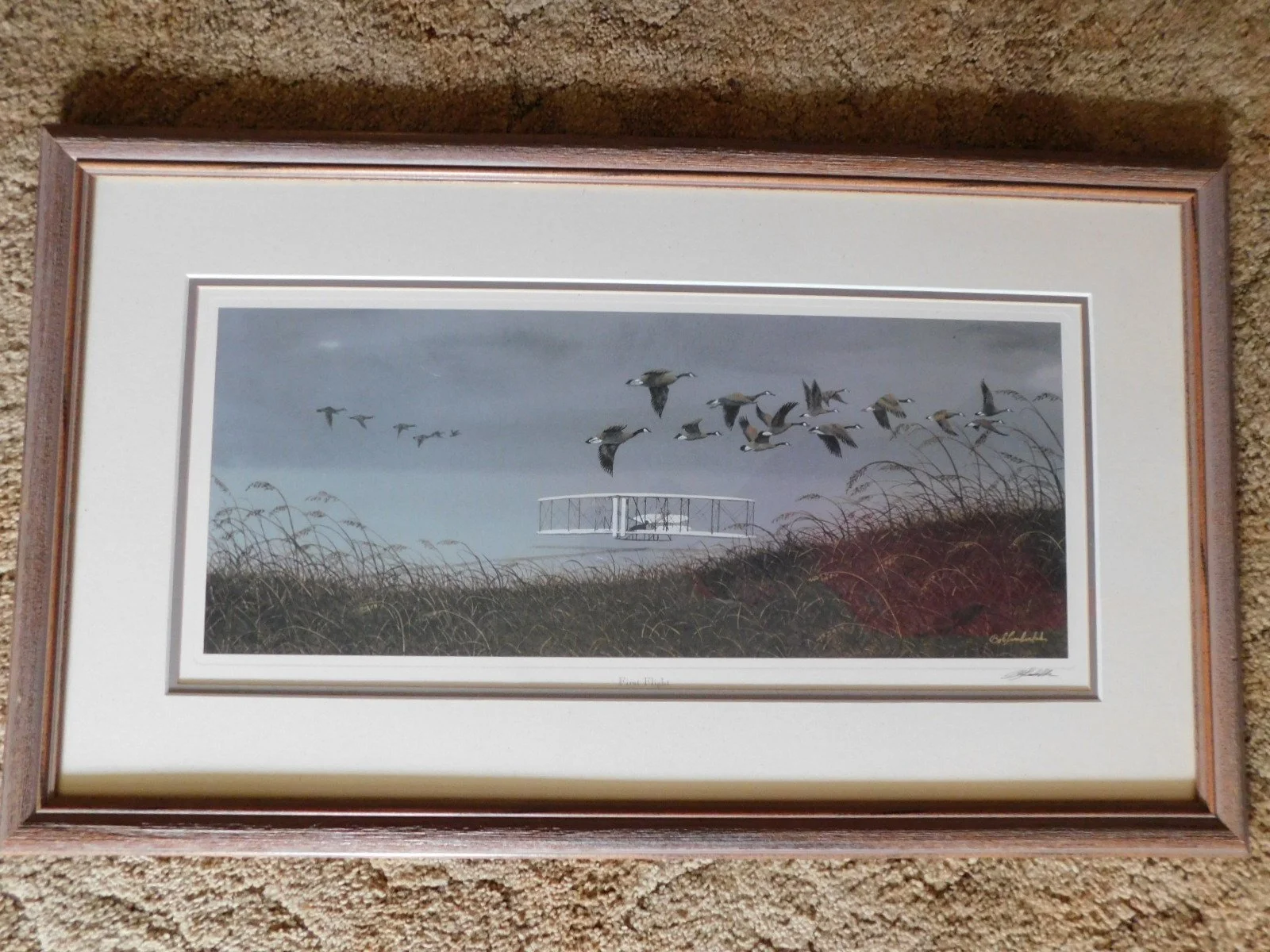 DSCN7170.JPG