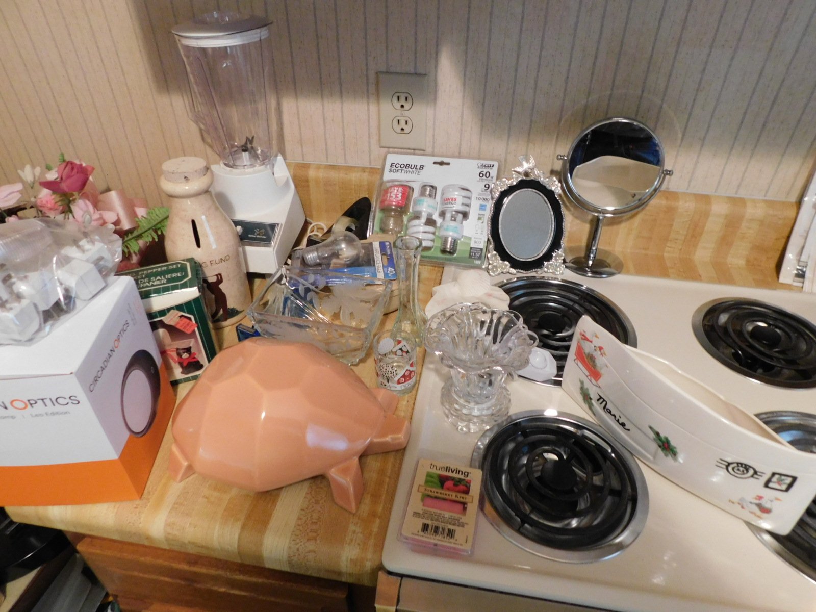 DSCN7236.JPG