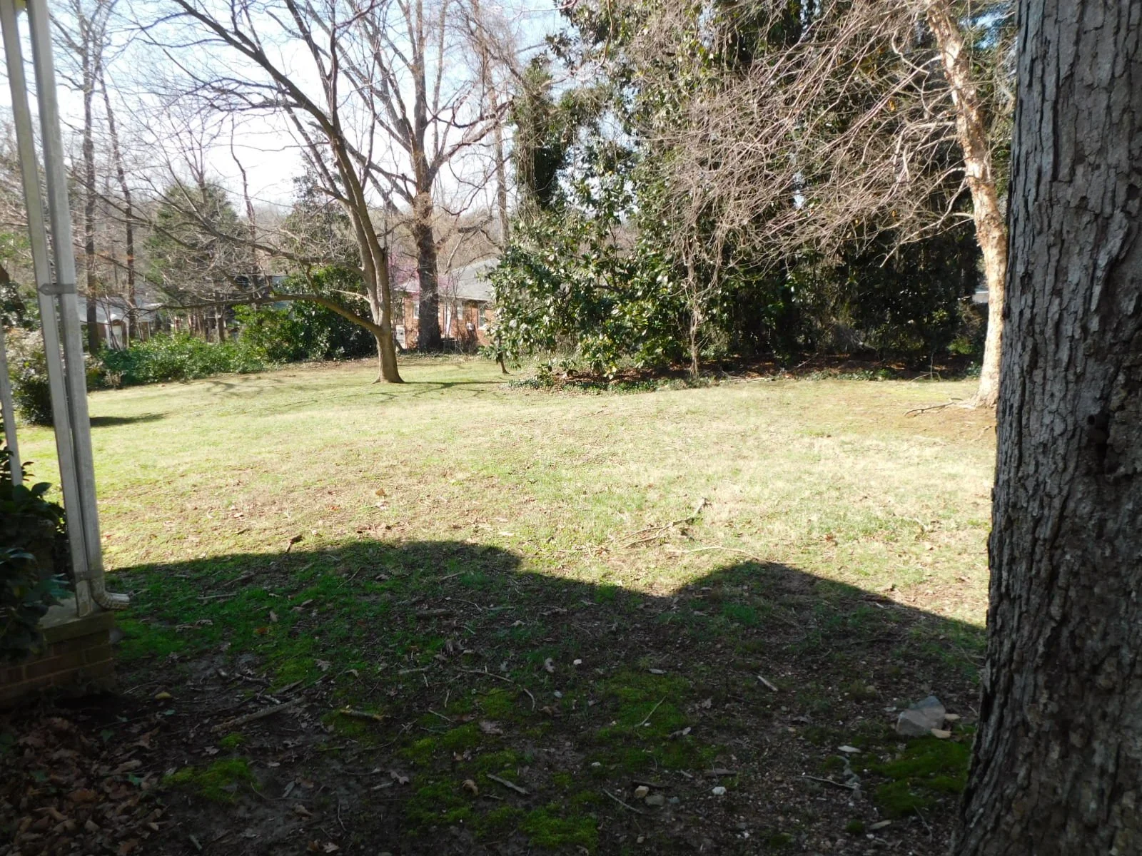 DSCN7730.JPG