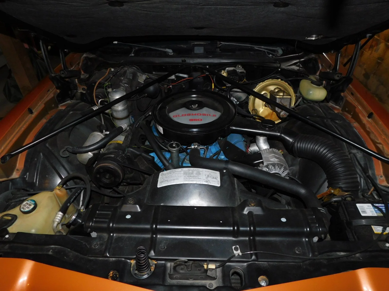 DSCN7858.JPG