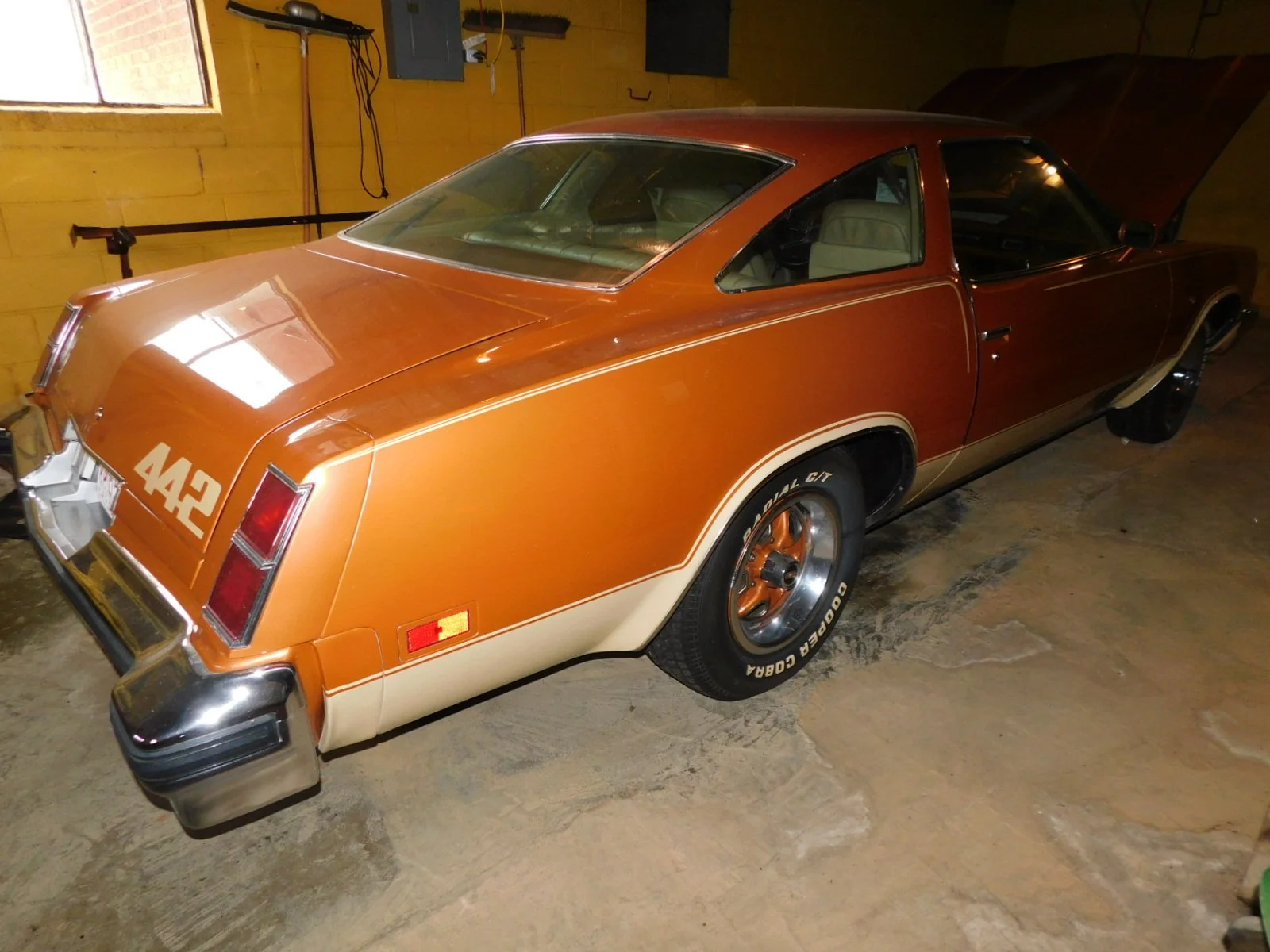DSCN7868.JPG