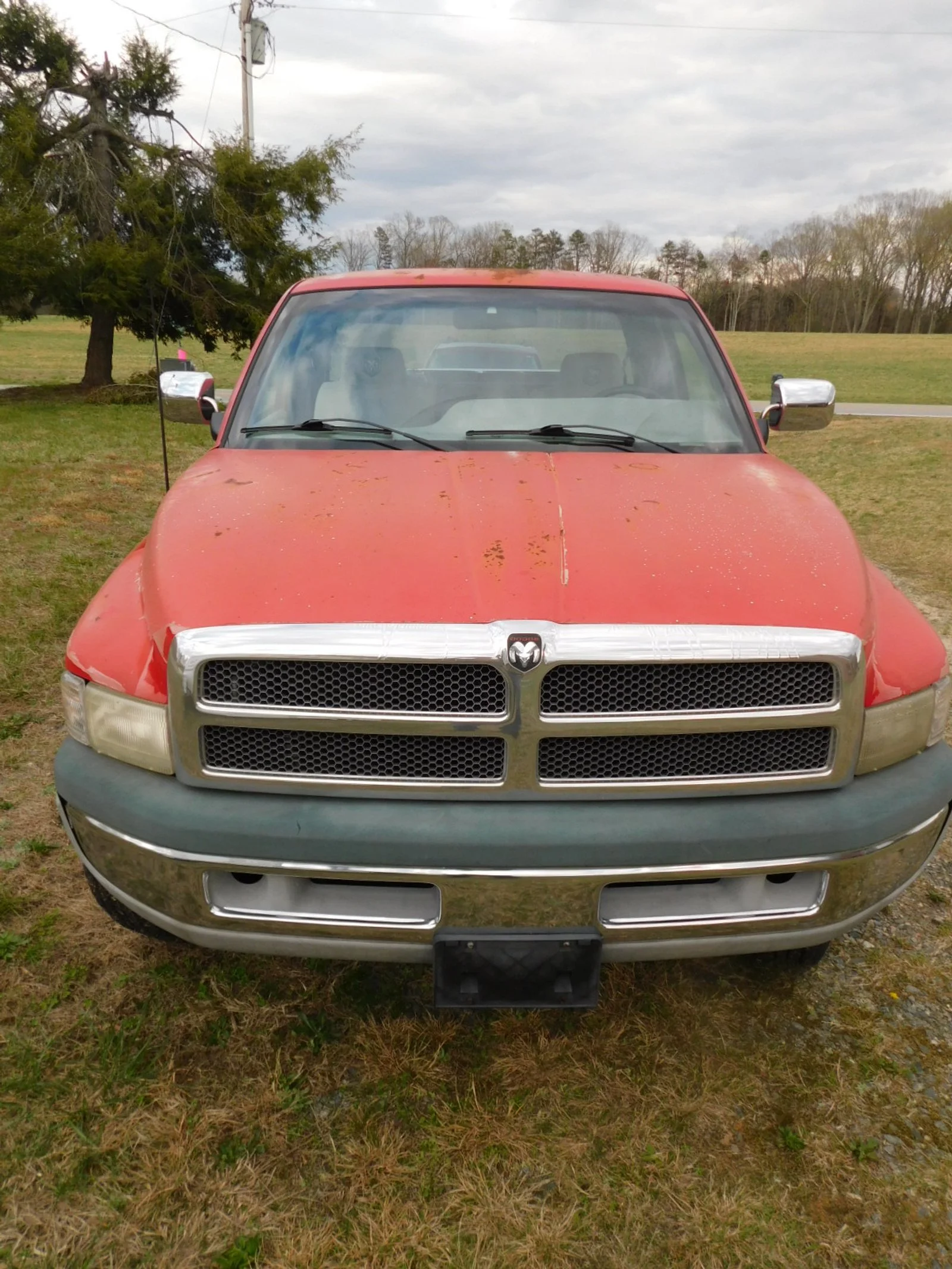 DSCN8029.JPG