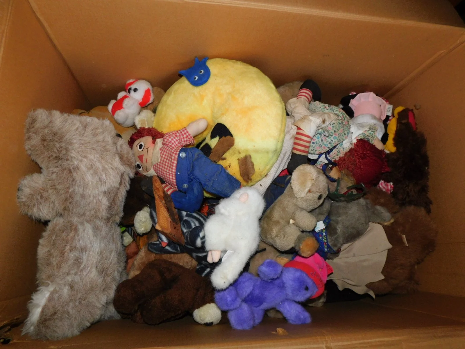 DSCN8137.JPG