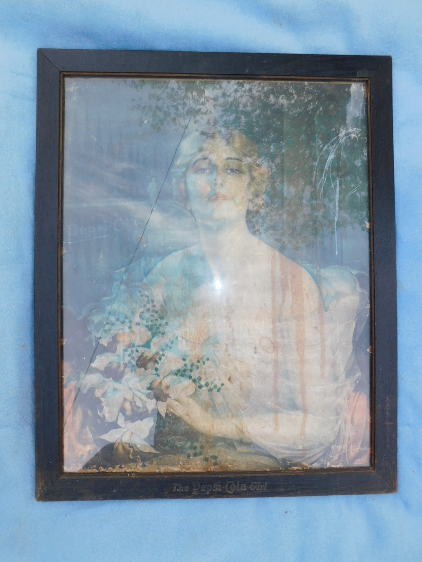 DSCN9559.JPG