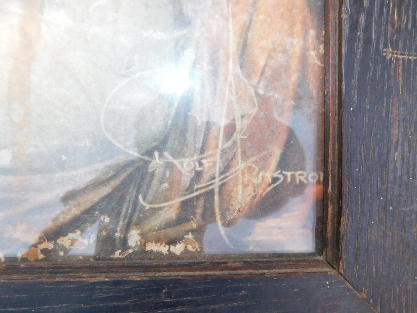 DSCN9562.JPG