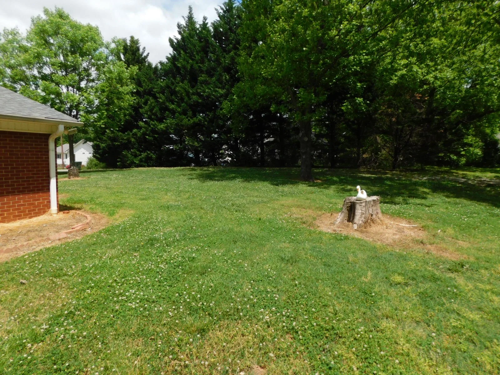 DSCN8801.JPG