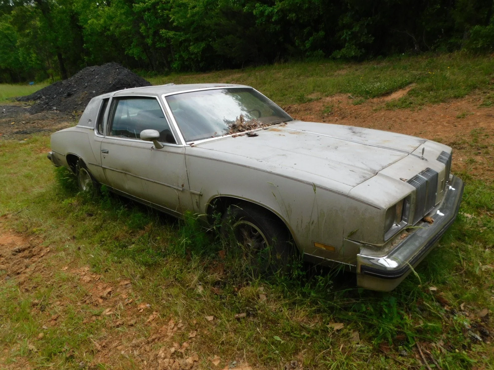 DSCN9190.JPG