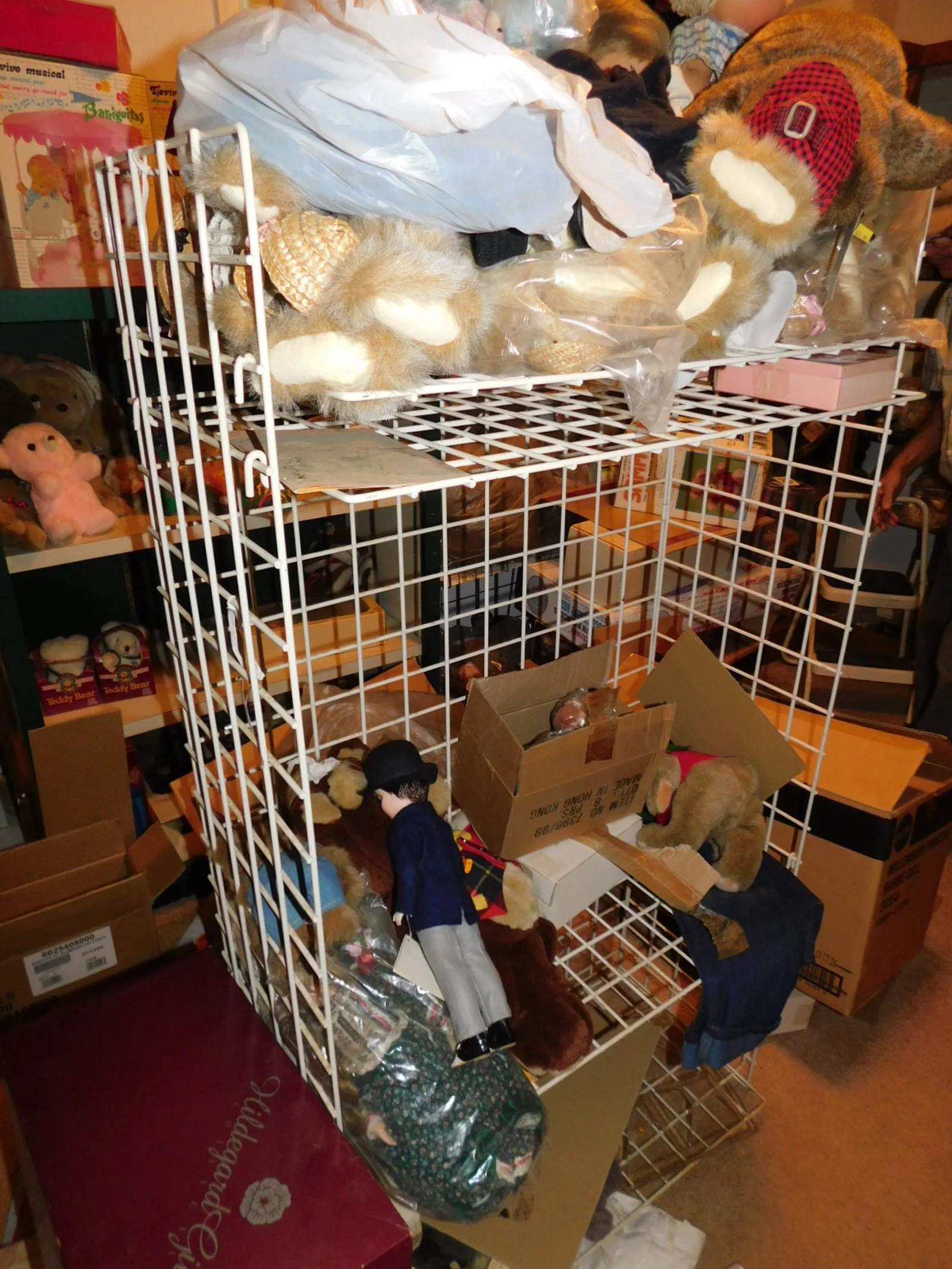 DSCN0011.JPG