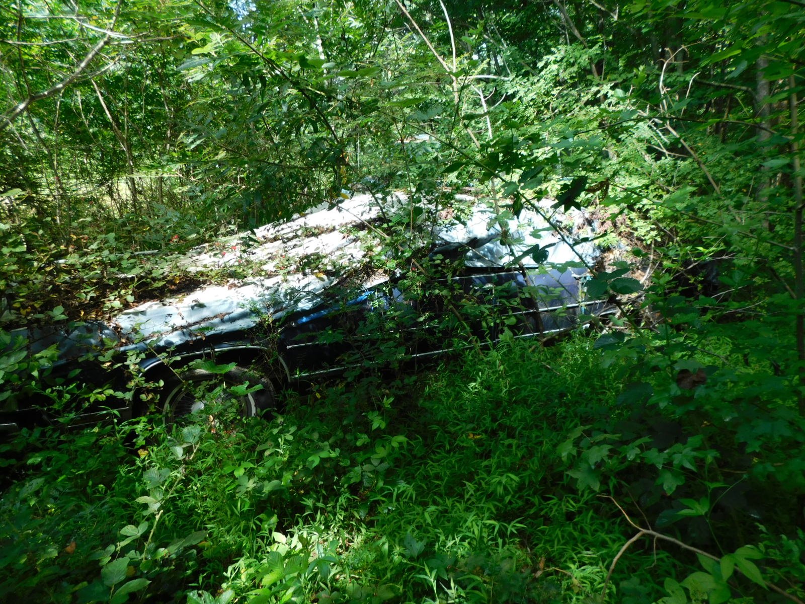 DSCN0101.JPG