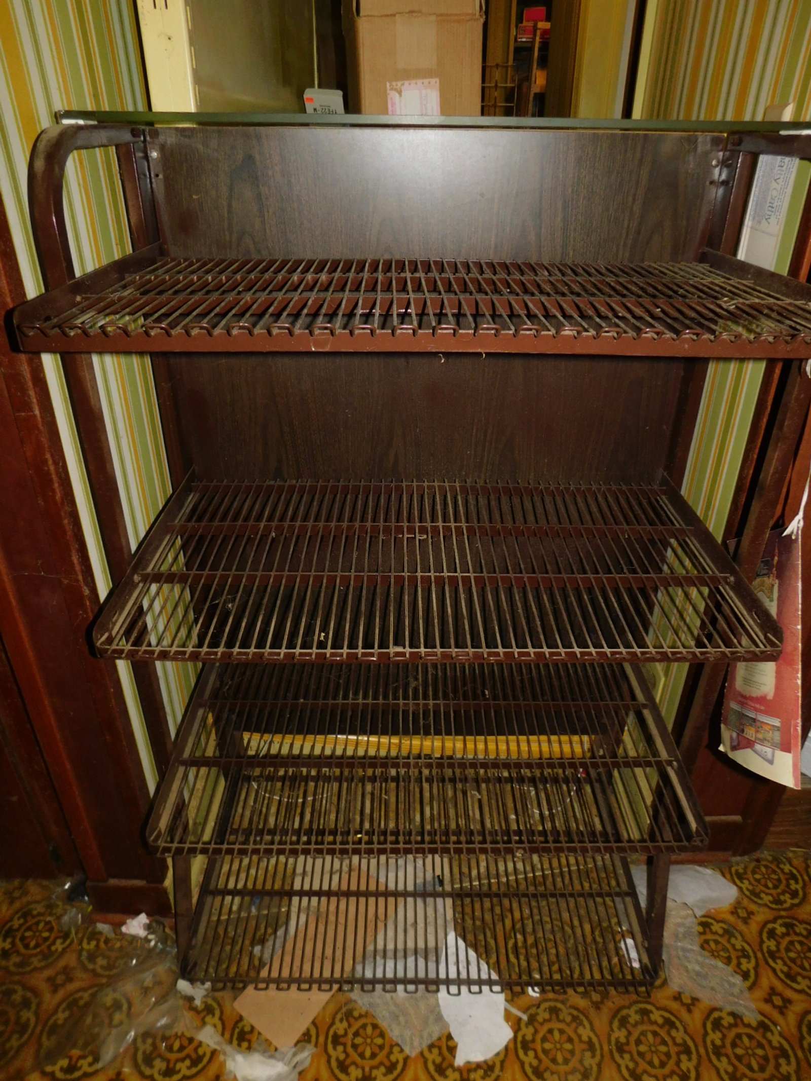 DSCN9952.JPG