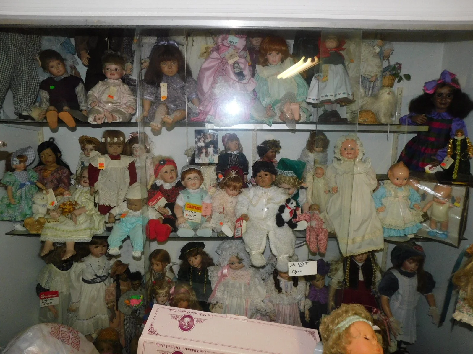 DSCN9981.JPG