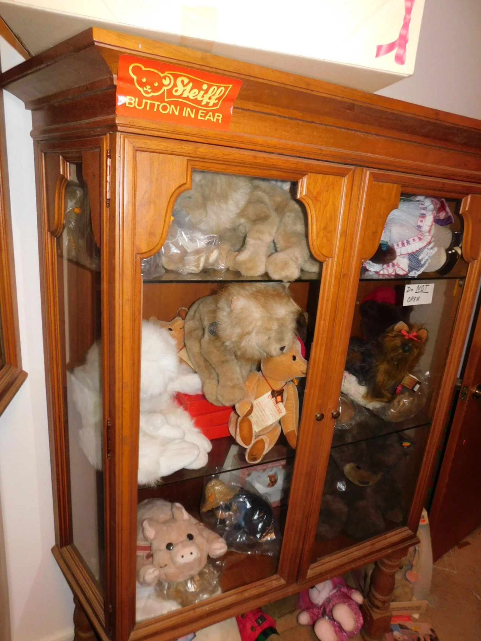 DSCN9995.JPG