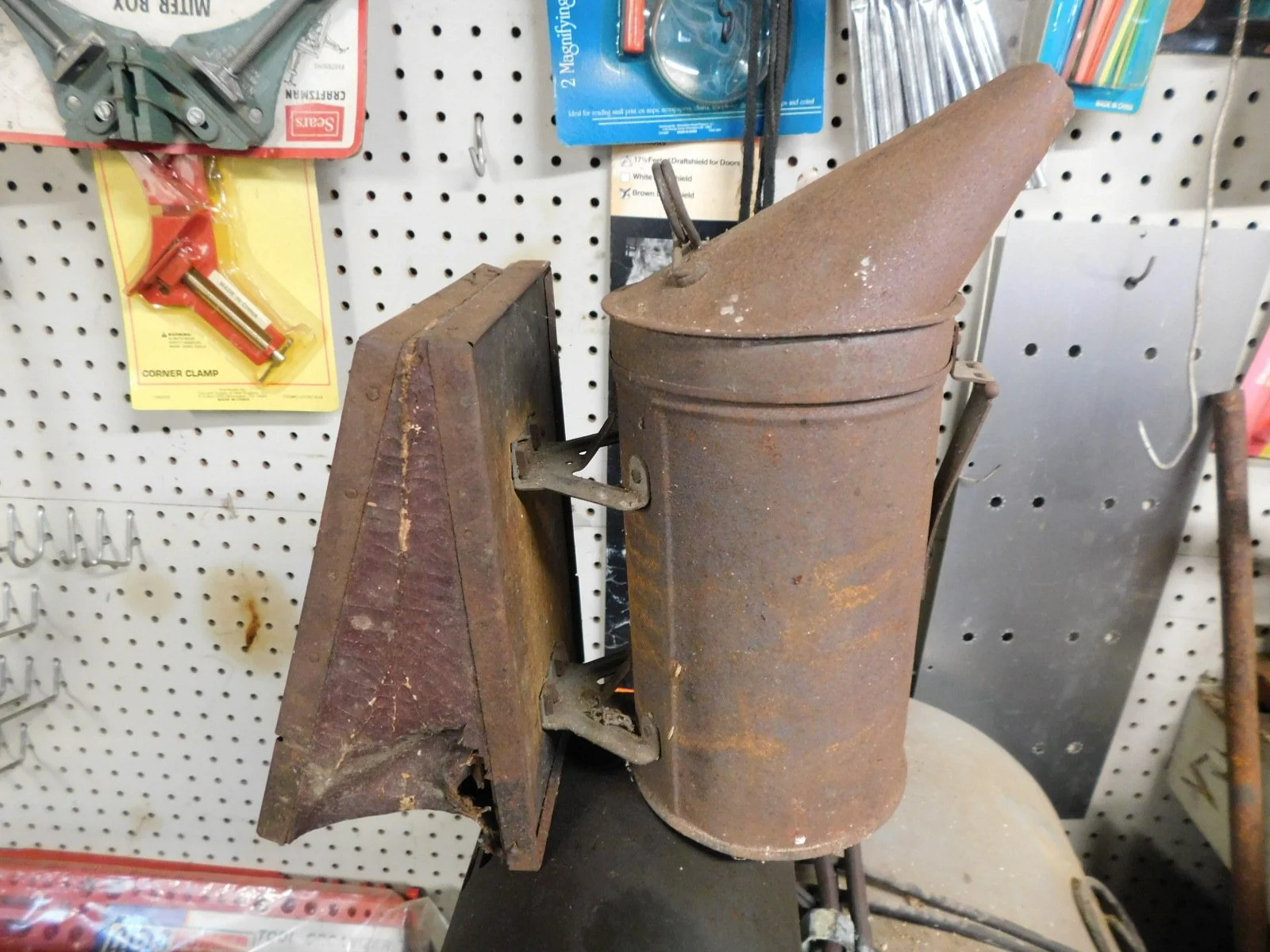 DSCN0523.JPG