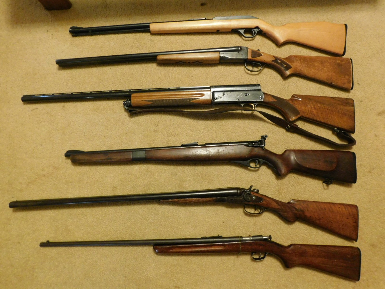 5.JPG