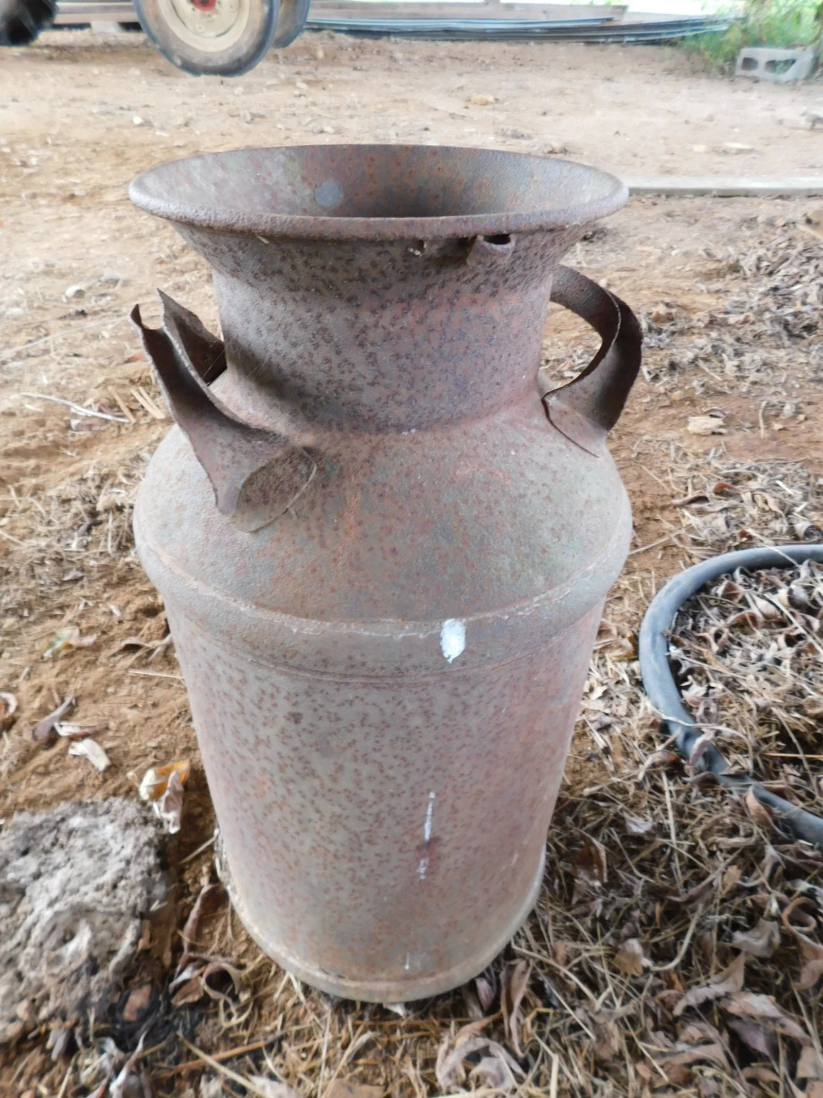 DSCN0681.JPG