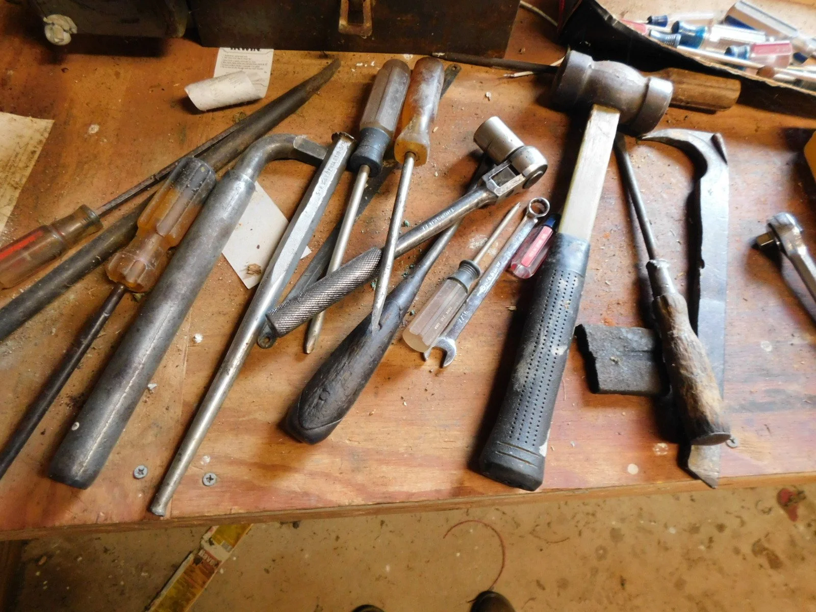 DSCN0704.JPG