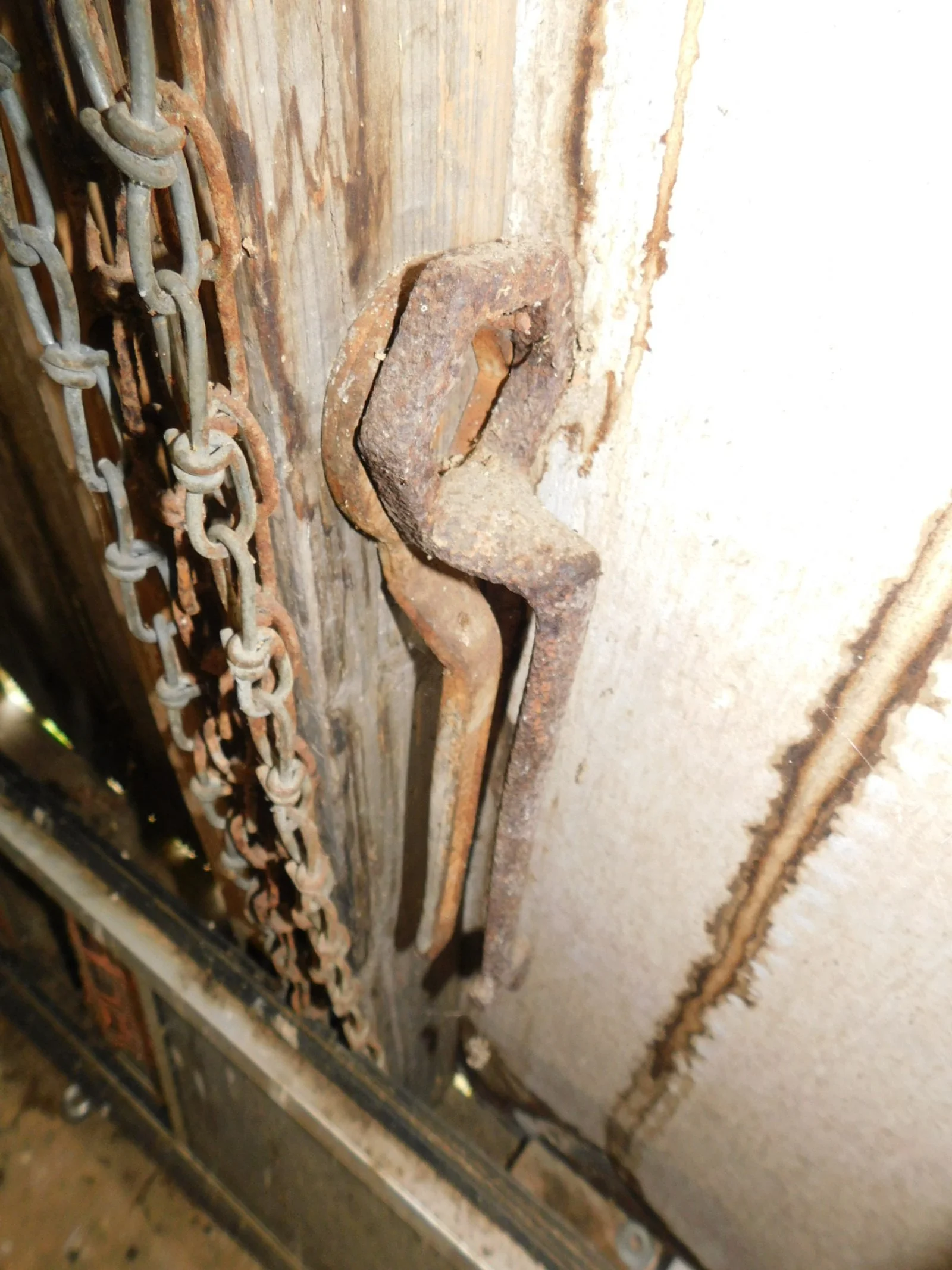 DSCN0712.JPG