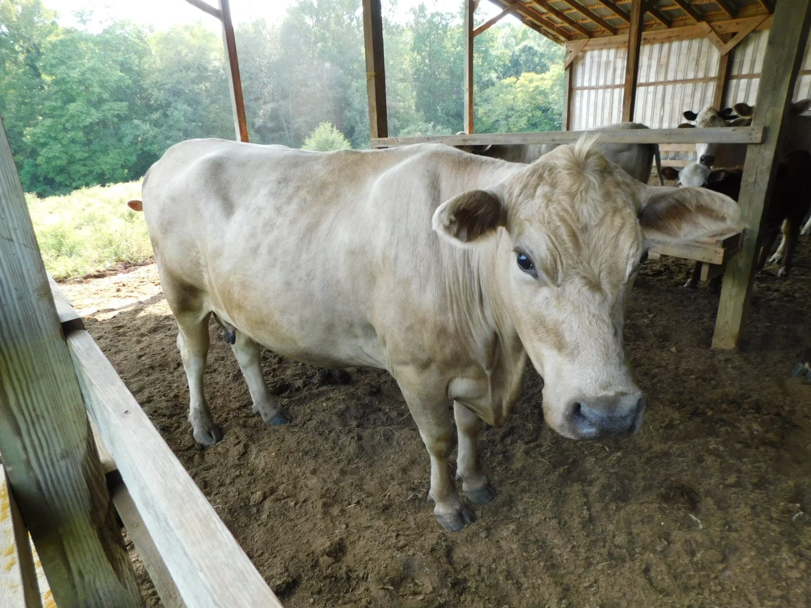DSCN0730.JPG