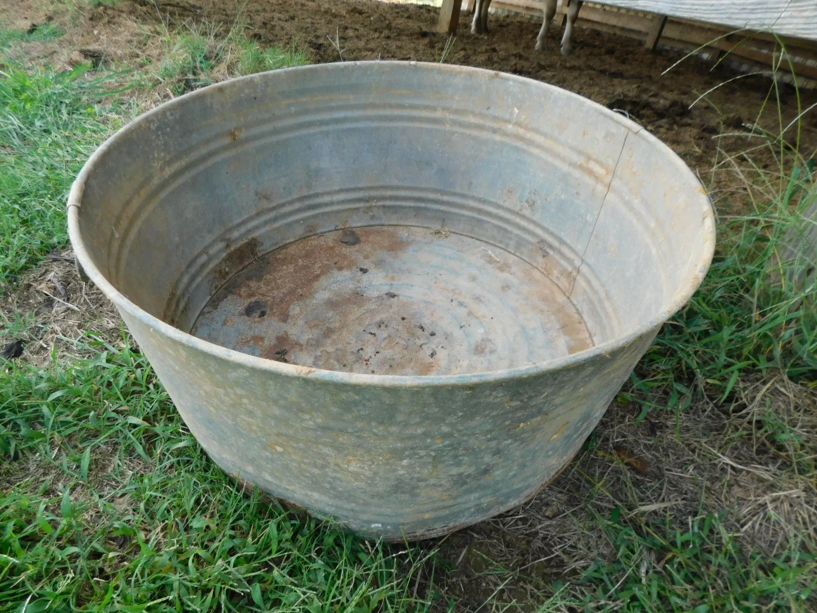 DSCN0745.JPG