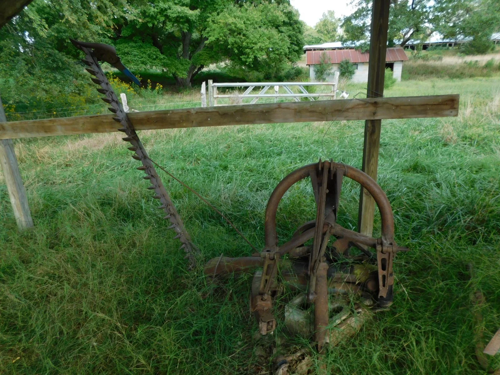 DSCN0834.JPG