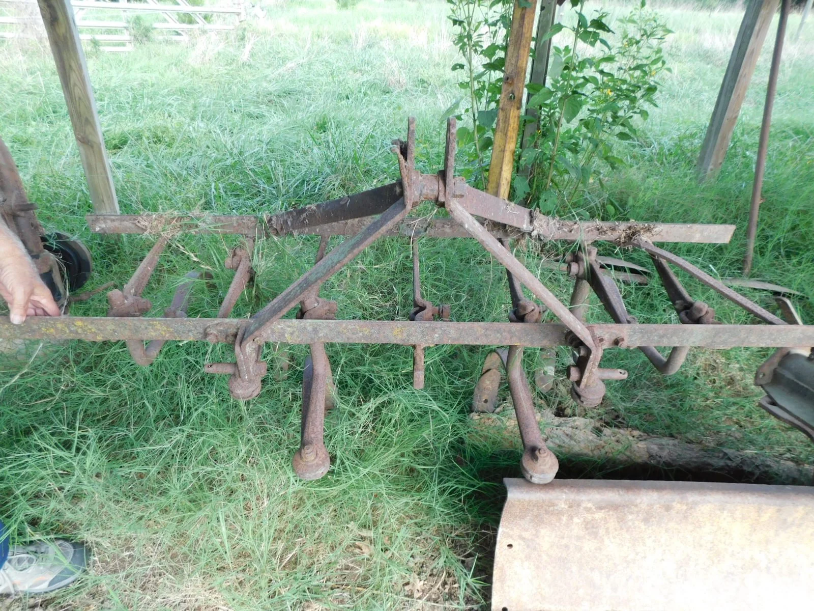DSCN0836.JPG