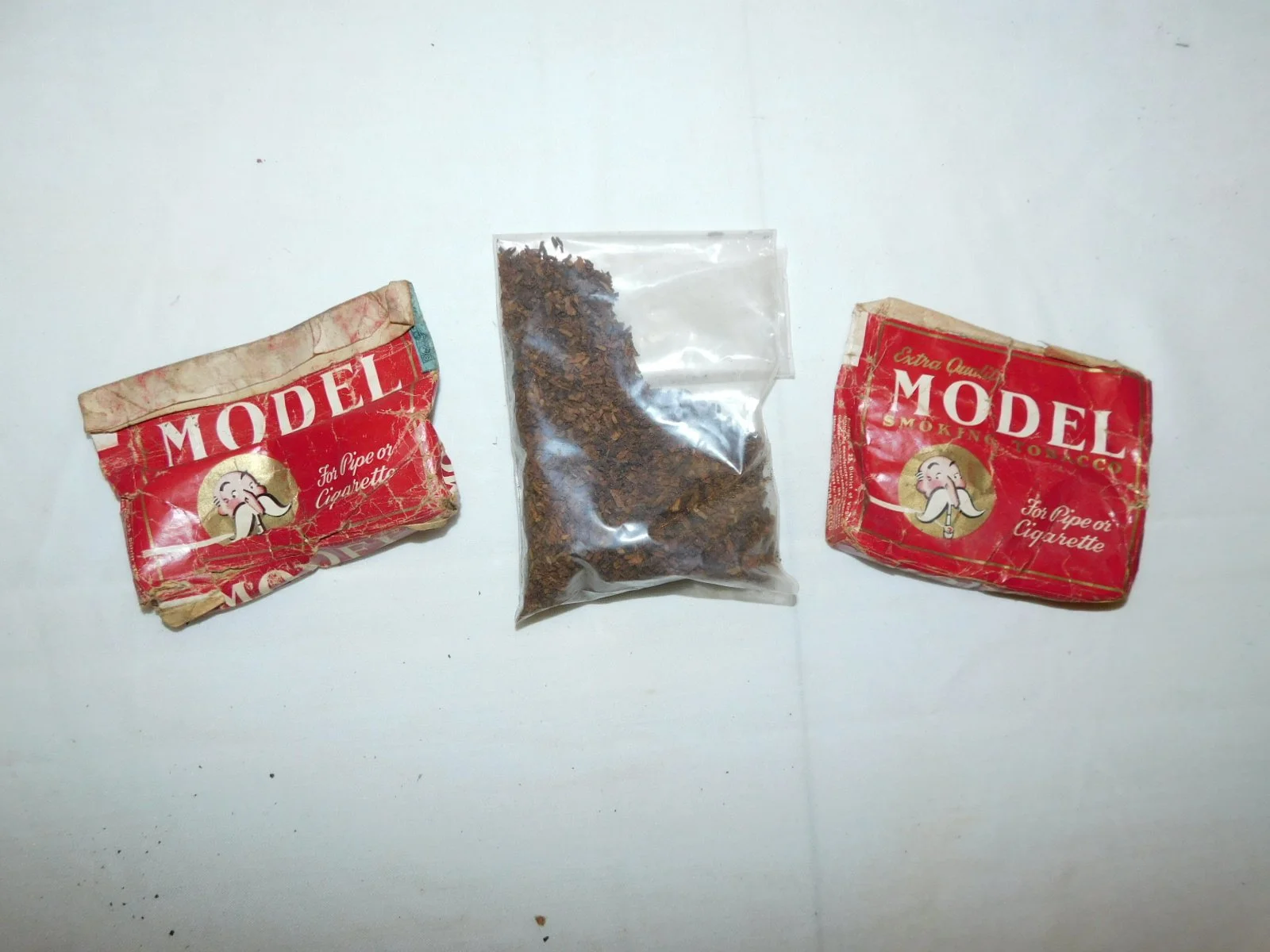 DSCN1218.JPG