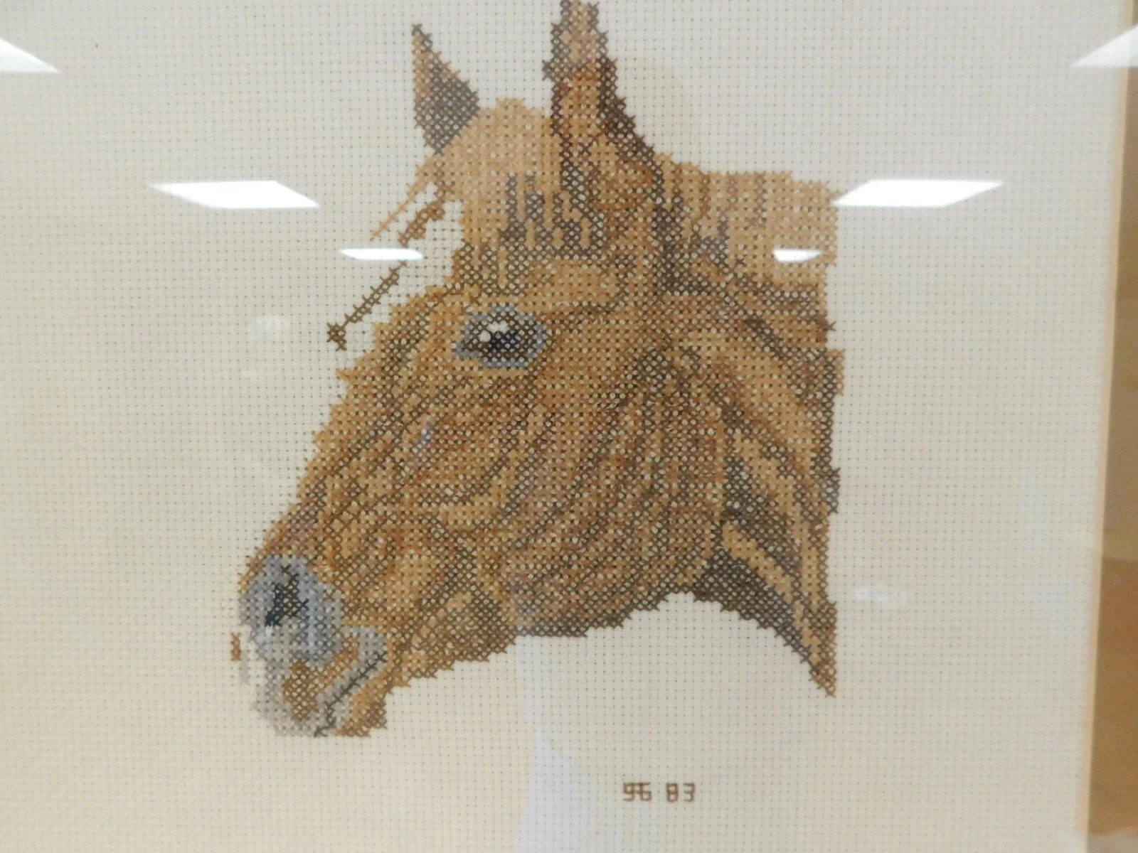 DSCN2021.JPG
